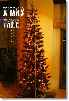 2010 X\'mas Tree_f0203406_8155129.jpg