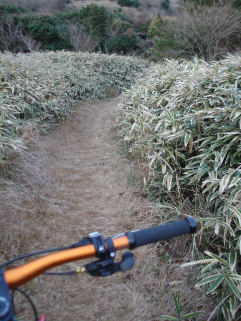e0015108_2140549.jpg