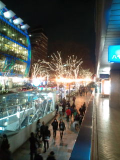 f0225108_7364215.jpg