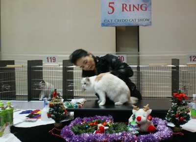 TICA&CAT CREDO CAT SHOW_e0033609_1945226.jpg