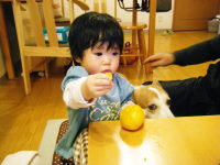 c0118715_22301867.jpg