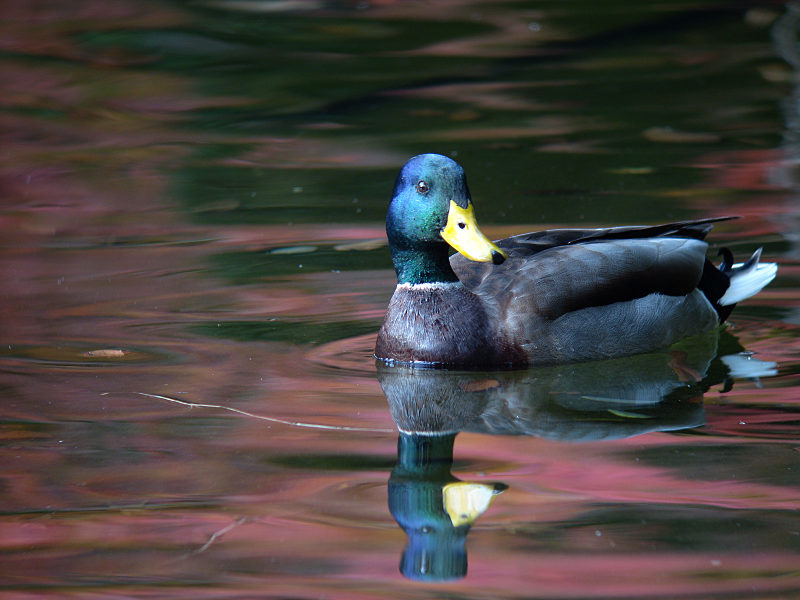 12/19　U公園にて_f0051915_22412088.jpg