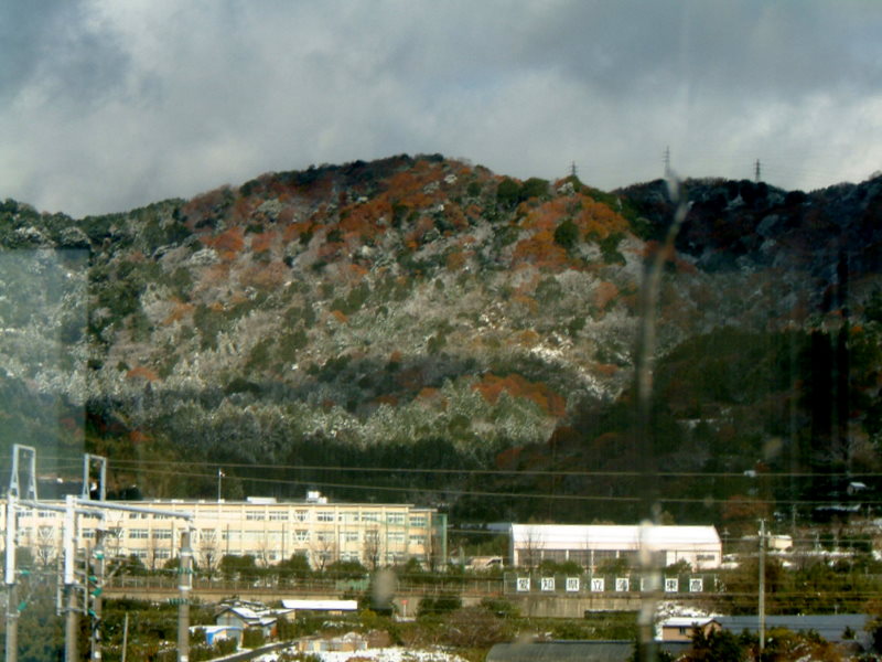 c0195327_2041396.jpg