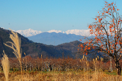 c0107129_0424965.jpg