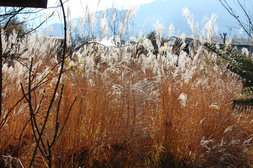 c0107129_047970.jpg