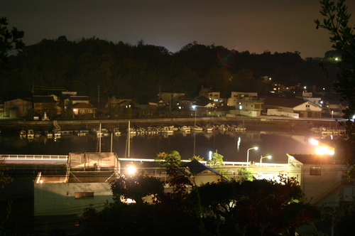 d0184535_35276.jpg