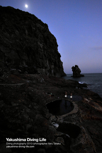 三島サンゴ調査_b0186442_053149.jpg
