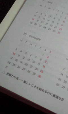 「シンクロ手帳2011」切り替えナビ③年間カレンダー&年間スケジュール活用法_f0164842_15581337.jpg