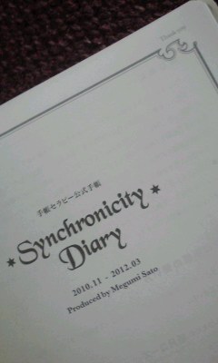 「シンクロ手帳2011」切り替えナビ③年間カレンダー&年間スケジュール活用法_f0164842_15581353.jpg