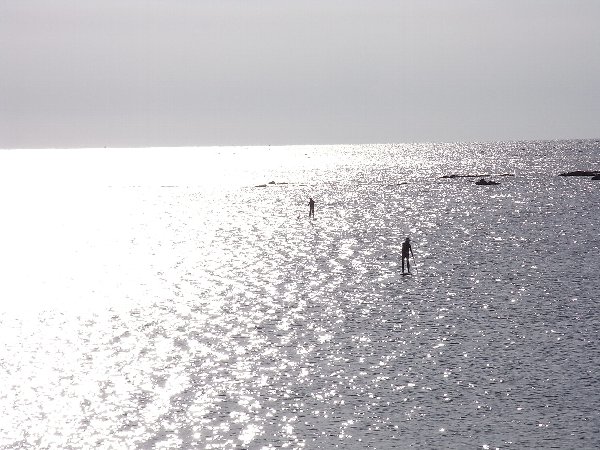 b0165444_1194373.jpg