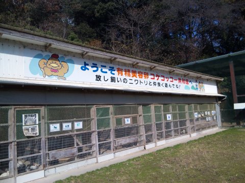d0035444_19184224.jpg