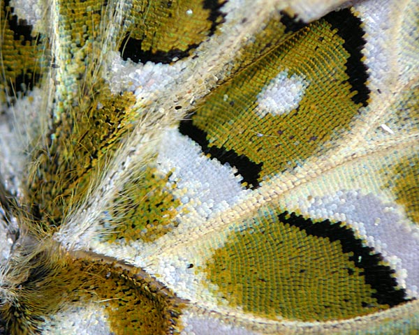 e0035757_23565522.jpg