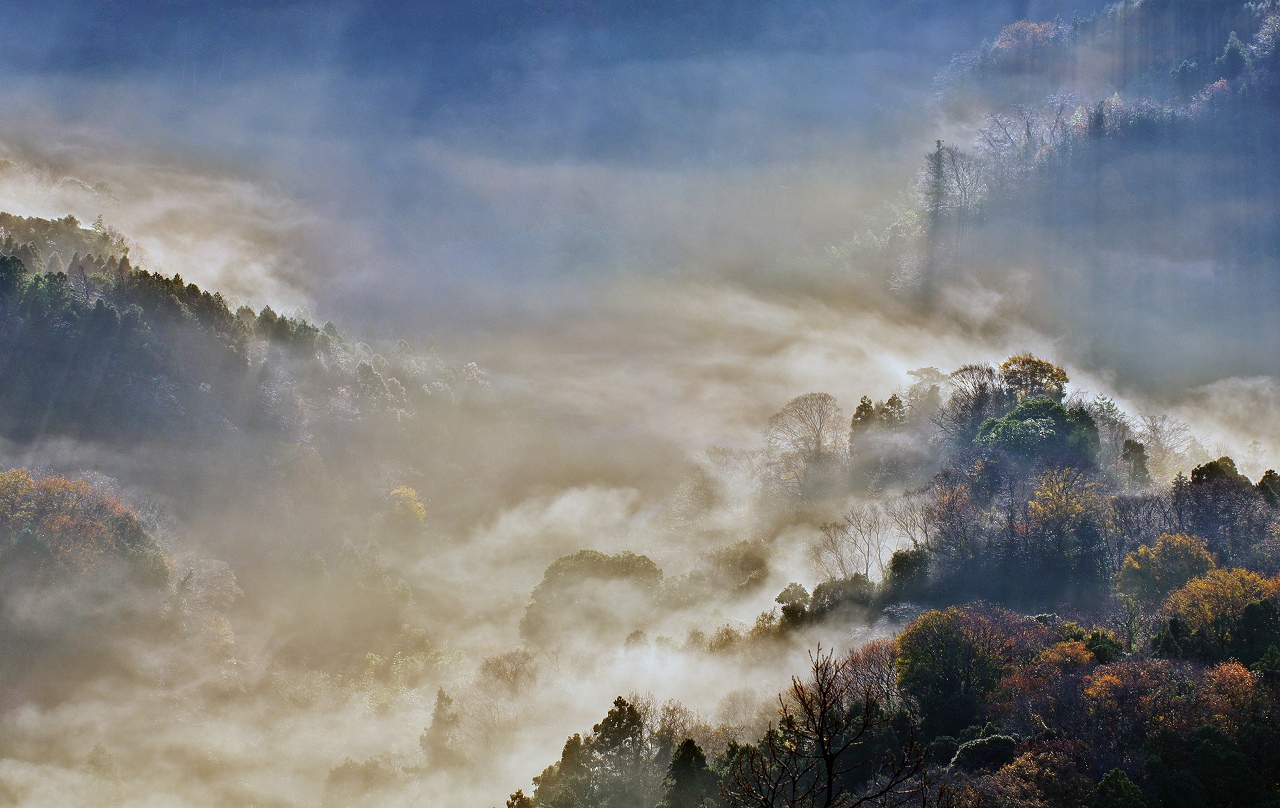 晩秋の朝 1_f0018464_6474936.jpg
