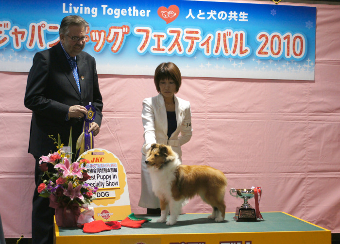 2010 JKCジャパンドックフェスティバル2日間_a0139367_2131439.jpg