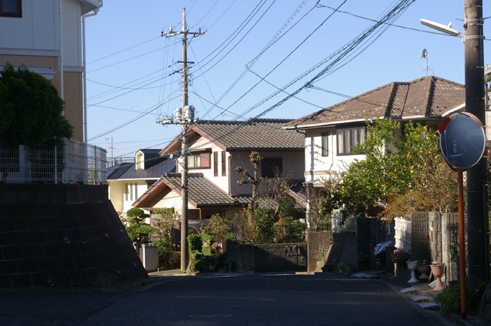 鎌倉の美しい里山継承プロジェクトを11・１・22からスタート_c0014967_1545615.jpg