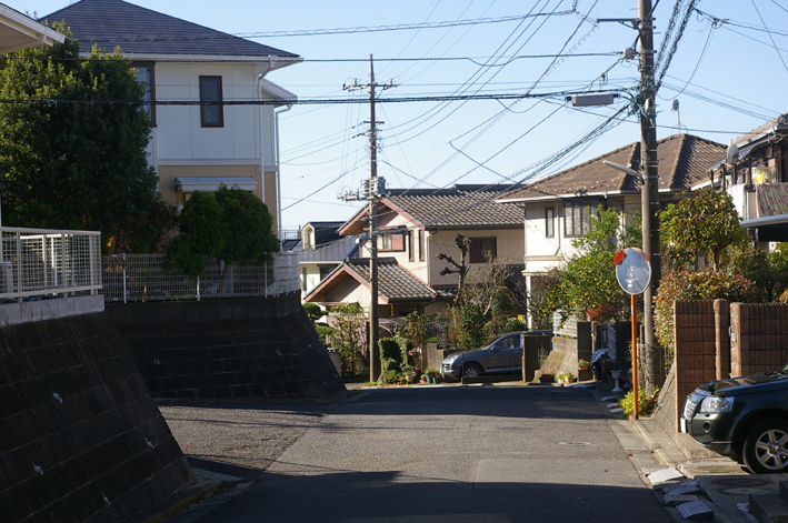 鎌倉の美しい里山継承プロジェクトを11・１・22からスタート_c0014967_1561862.jpg