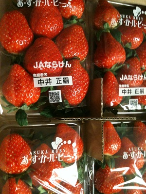 大吟醸酒粕_f0134268_2313564.jpg