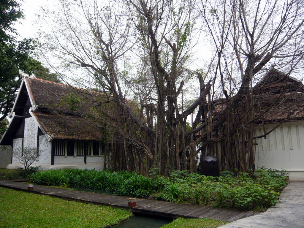 f0178278_1038415.jpg
