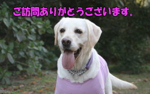 プチHAPPY・・・・・・・。_b0136683_8145619.jpg