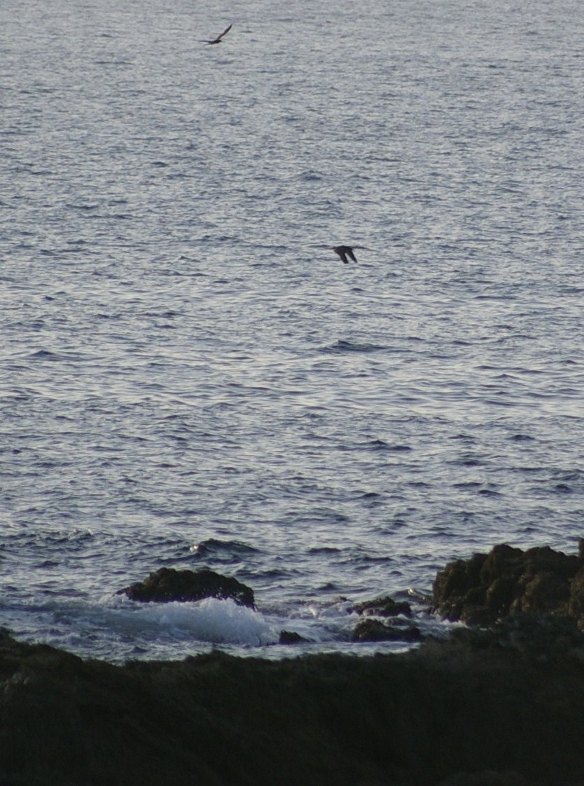 e0197884_22211425.jpg