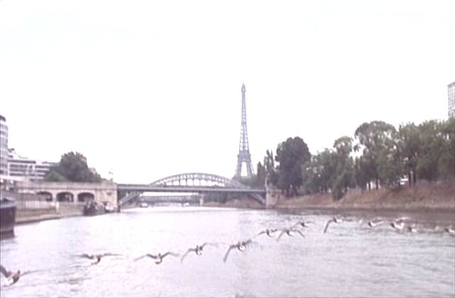 映画 Wataridori 渡り鳥 At Studio Ta 映画 Wataridori 渡り鳥 At Studio Ta