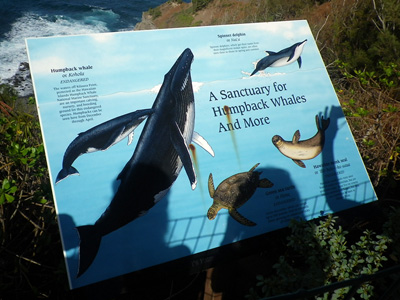 f0220791_1630451.jpg