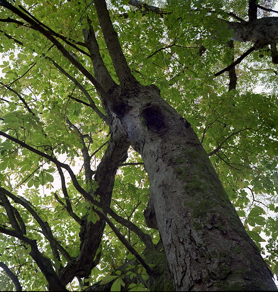 c0214494_024463.jpg