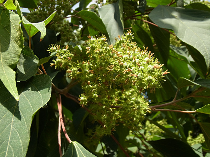 f0204094_22303159.jpg