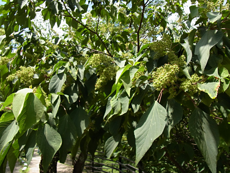 f0204094_2230658.jpg