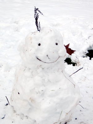 パリは今日も雪です。_c0090198_57690.jpg