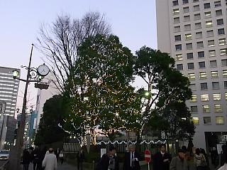 2010年12月20日（月） ； 晴れ_d0051601_16342660.jpg