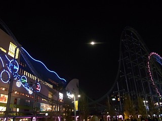 d0051601_552777.jpg