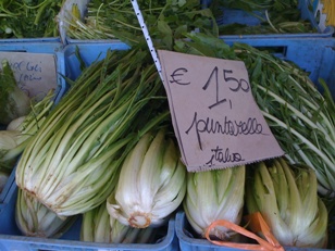 Notizie da Ciro チロ便り 2_e0170101_12131428.jpg