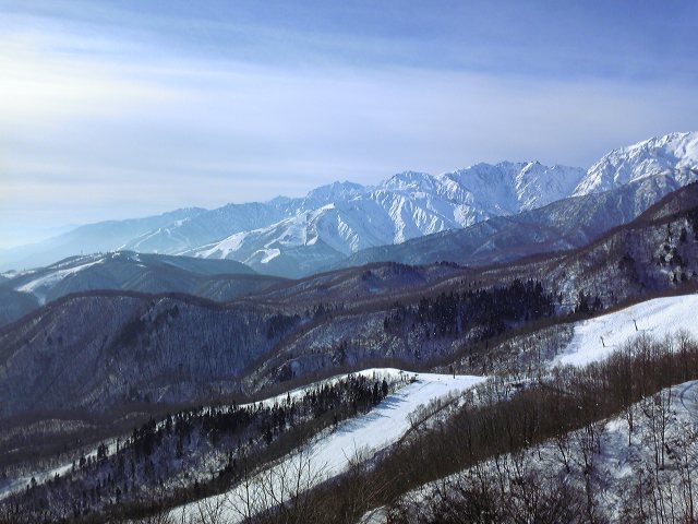 f0102803_10361168.jpg