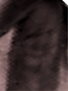 e0103408_10134590.gif