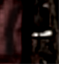 e0103408_10144353.gif