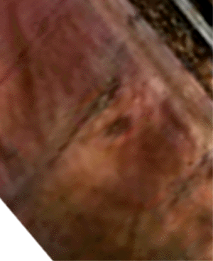 e0103408_10152760.gif