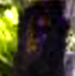 e0103408_13201844.gif
