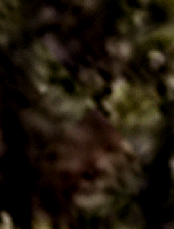 e0103408_13314781.gif