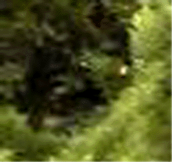 e0103408_13322784.gif
