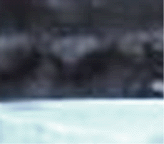 e0103408_1333164.gif