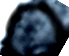 e0103408_13335764.gif