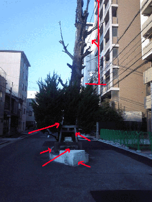 e0103408_13353075.gif