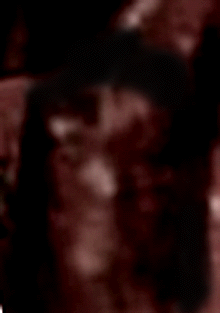 e0103408_9562058.gif