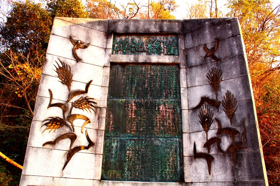 e0201121_12512.jpg