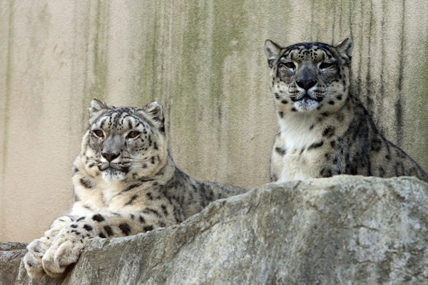 f0224624_64445.jpg