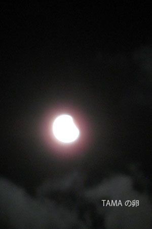 c0024729_23125744.jpg