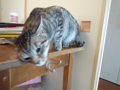 c0125532_12381072.jpg