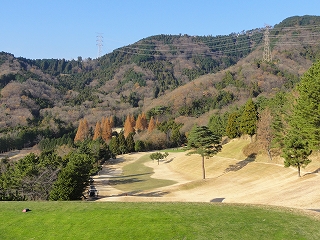 c0147935_9122771.jpg