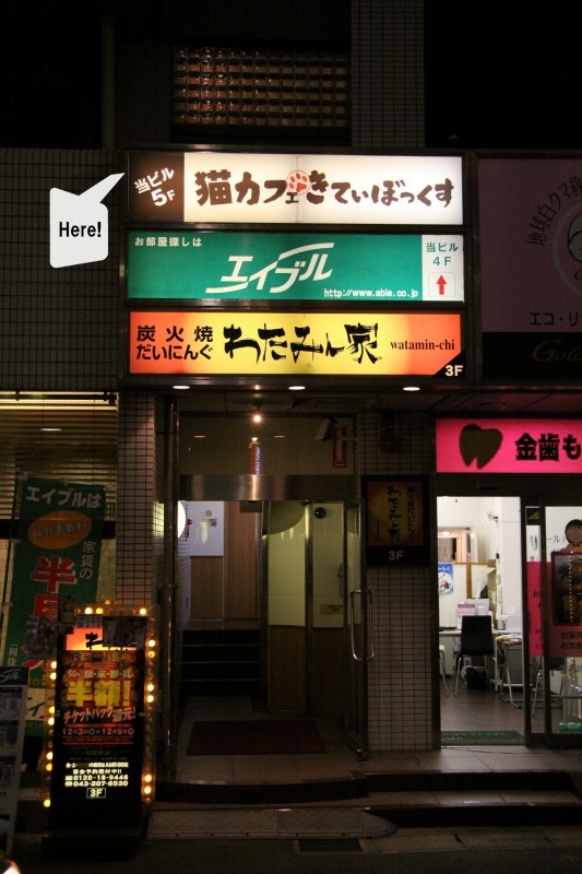 千葉市稲毛 猫カフェ きてぃぼっくす 新 間違いだらけの猫カフェ選び